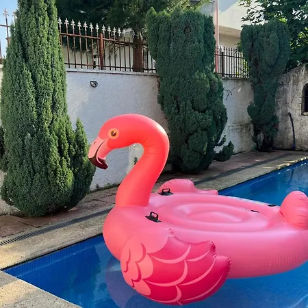 Apartament Cozy Little House *