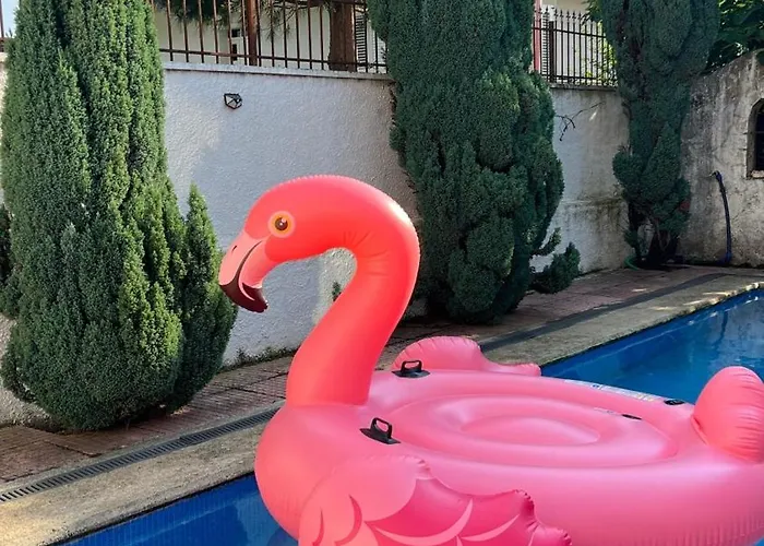 公寓 Cozy Little House *